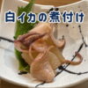 白イカの煮付け｜島根イカログの白イカ絶品レシピ