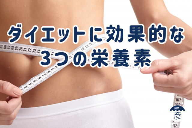 白イカがダイエットに効果的な3つの栄養素